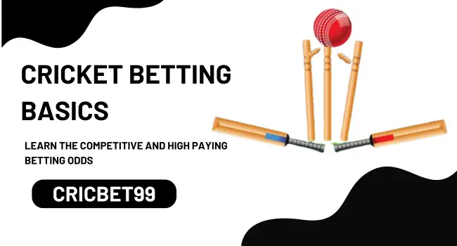 Learn Betting Odds with Cricbet99